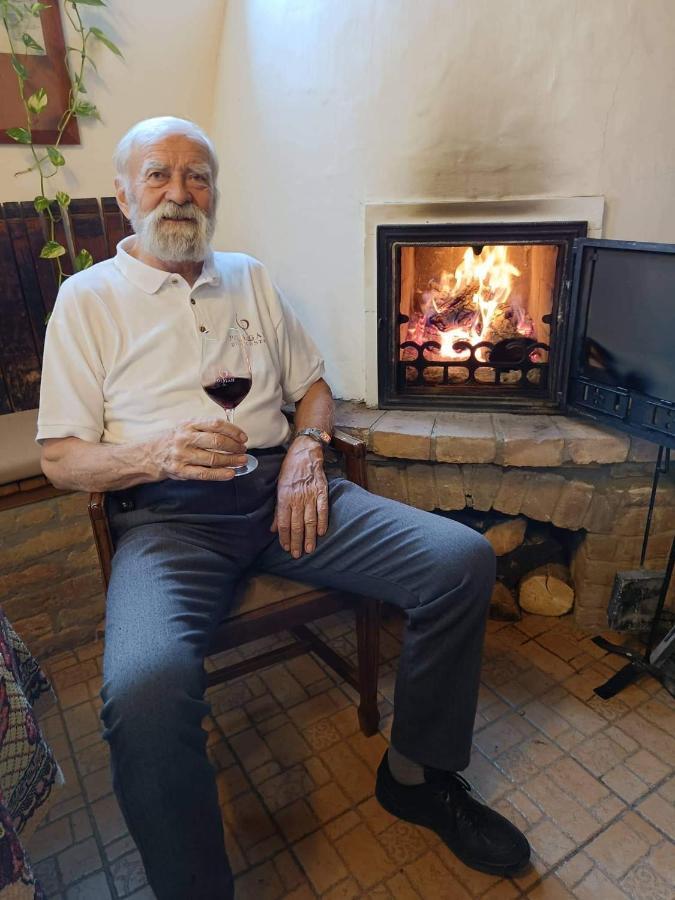 Polgár Panzió Villány Zewnętrze zdjęcie