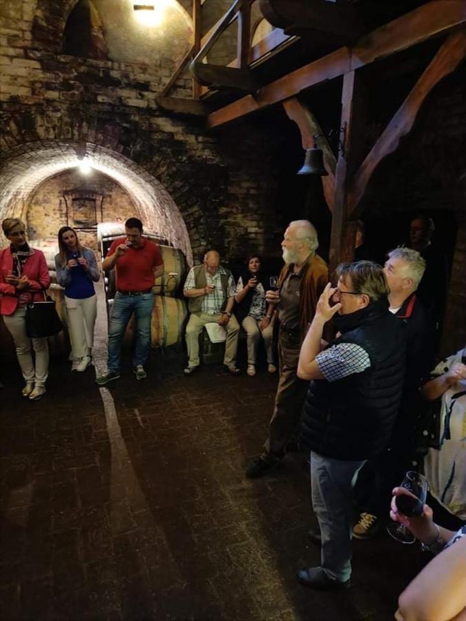 Polgár Panzió Villány Zewnętrze zdjęcie